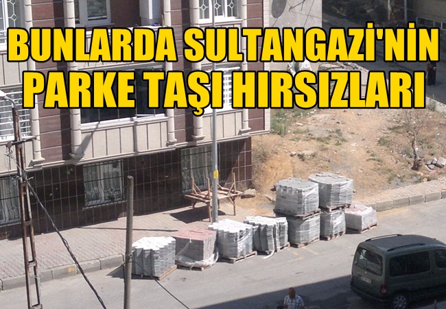 Parke Taşı Hırsızlarına da İdam Getirilsin mi?