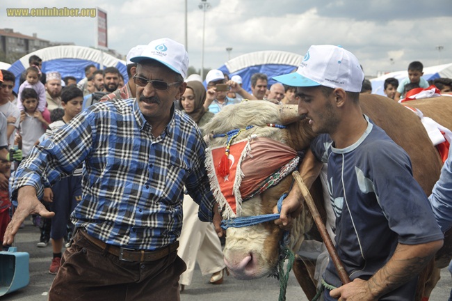 sultangazi-kurban-yarışması_DSC7301