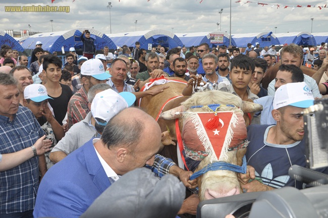 sultangazi-kurban-yarışması_DSC7308