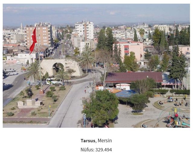 tarsus