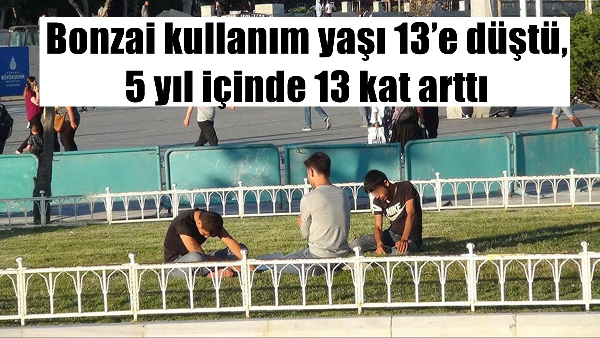 Bonzai kullanım yaşı 13’e düştü