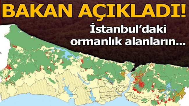 Bakan Eroğlu’ndan İstanbul’un ormanlık alanları ile ilgili açıklama