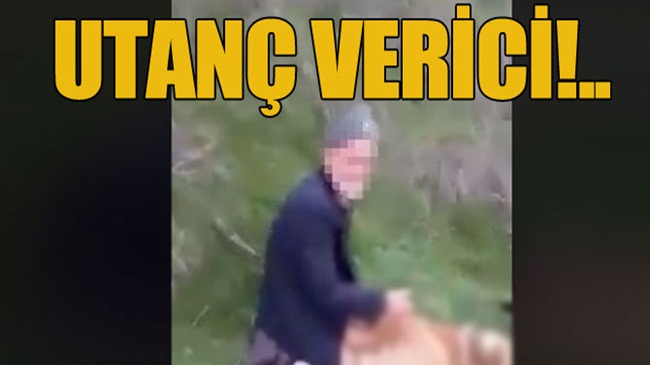 Köpeğe tecavüz ederken kameraya yakalandı!