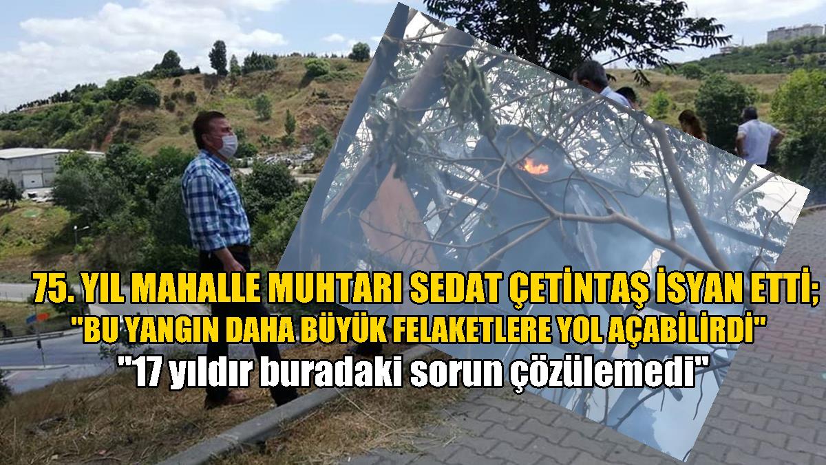 SULTANGAZİ’DE AĞAÇLIK ALANDA YANGIN ÇIKTI