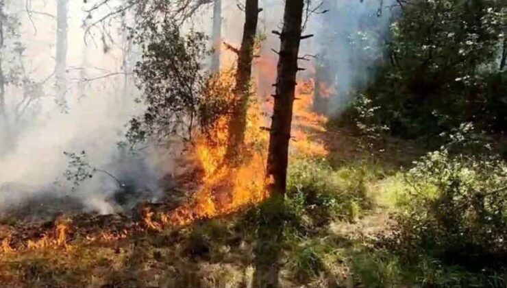 Sultangazi Kent Ormanı’nında yangın çıkarıp kaçtılar iddiası