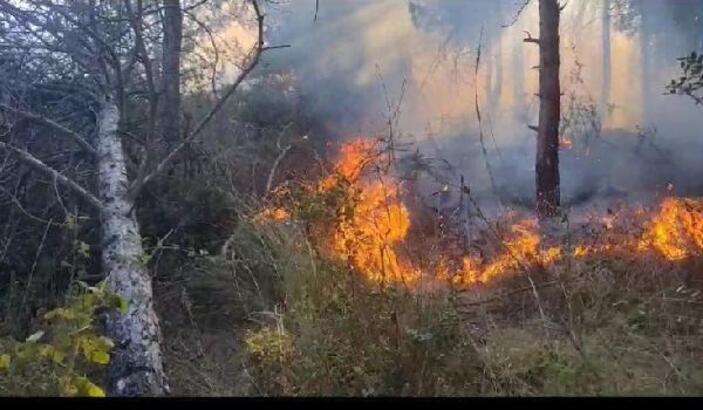 Sultangazi Kent Ormanı’nda yangın: Yaklaşık 10 dönüm alan kül oldu