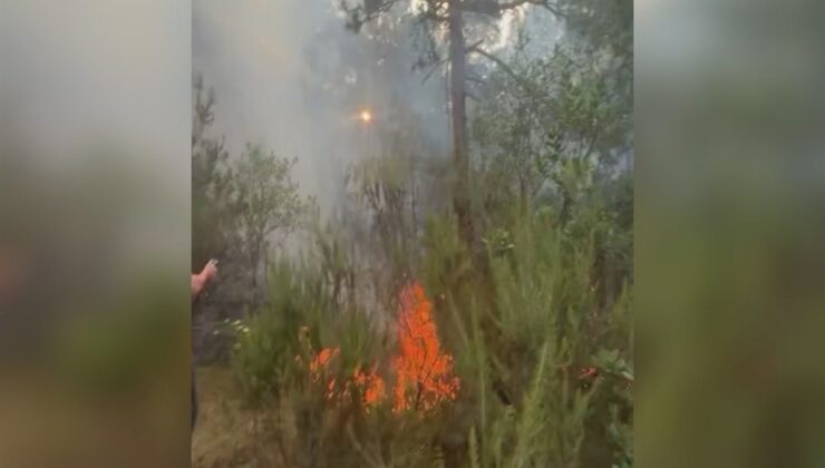 Ormanda yangına sebep olan 2 kişi gözaltına alındı