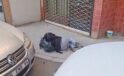 2 polisimizi şehit eden saldırgan böyle yakalandı!