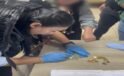 Esenyurt’ta gözaltına alınan dilencinin üzerinden 67 adet çeyrek altın çıktı